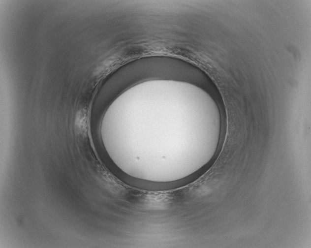X0000116640720200912140945