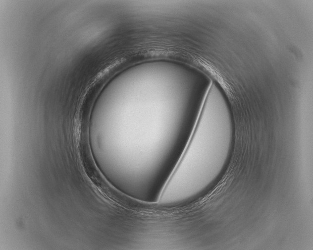 X0000116640722200912140944
