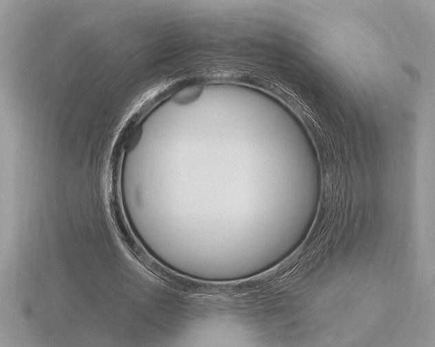X0000116640726200912140944