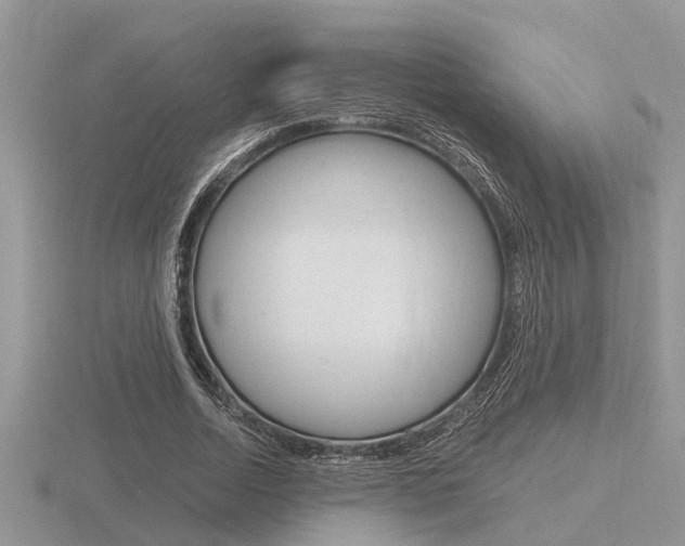 X0000116640730200912140944