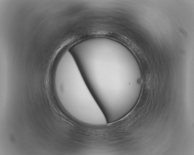 X0000116640731200912140944