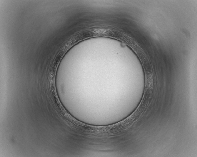 X0000116640737200912140944