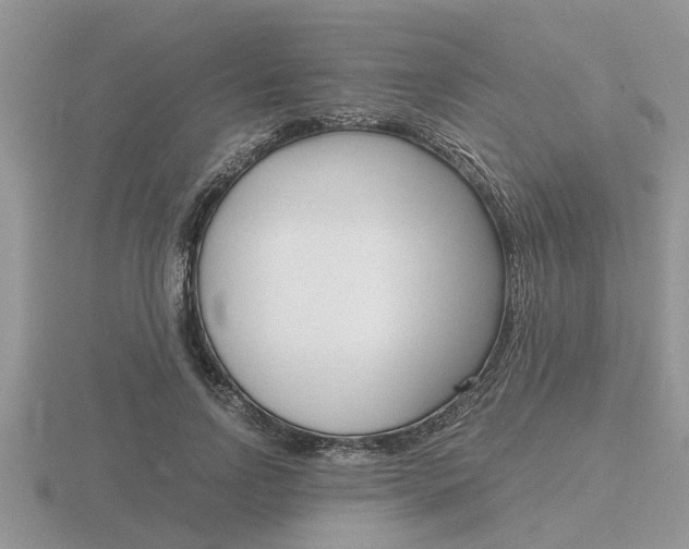 X0000116640742200912140944