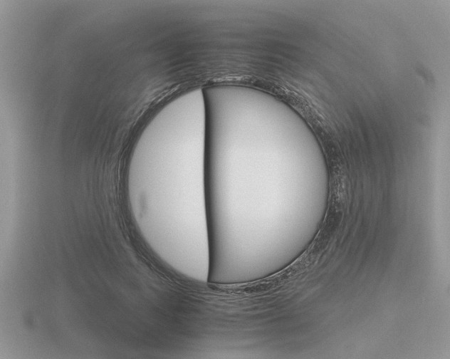 X0000116640743200912140944