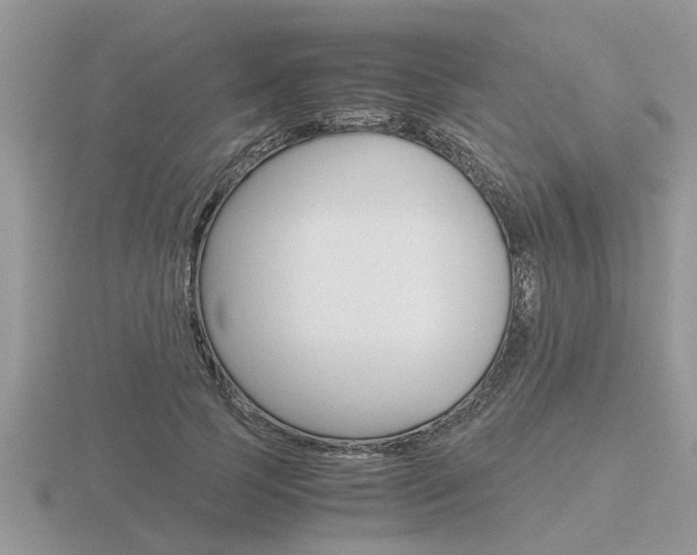 X0000116640745200912140944