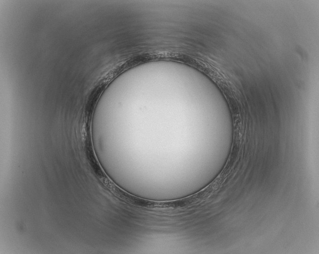 X0000116640746200912140944
