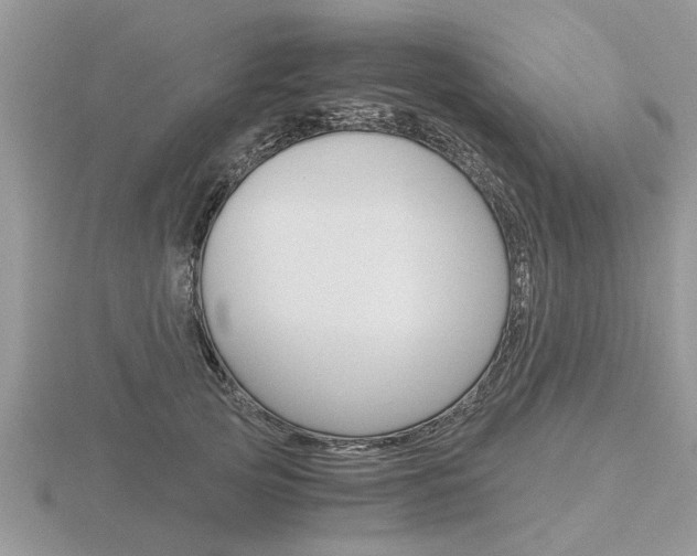 X0000116640753200912140945