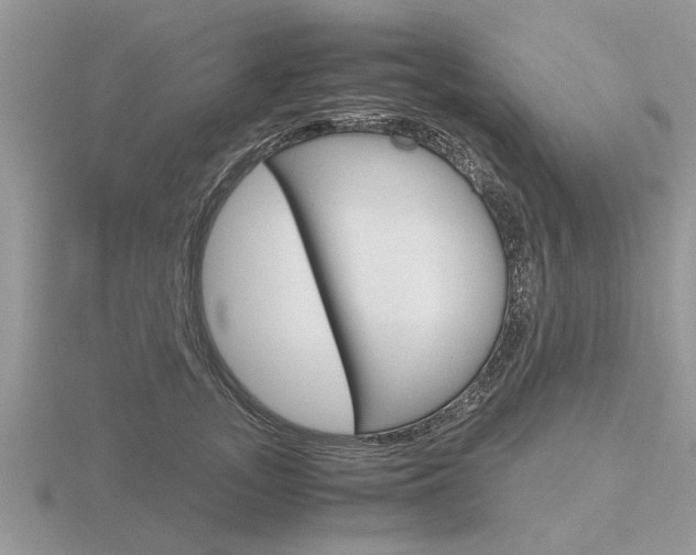 X0000116640755200912140945
