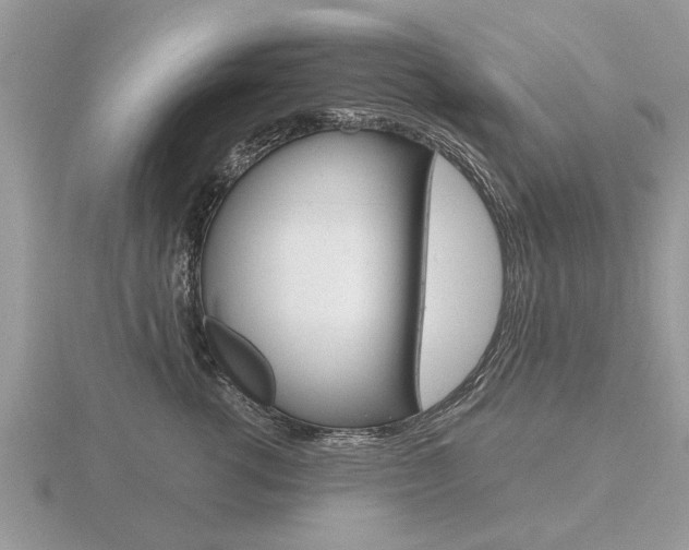 X0000116640762200912140945