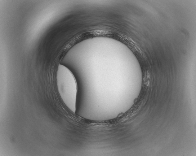 X0000116640763200912140945
