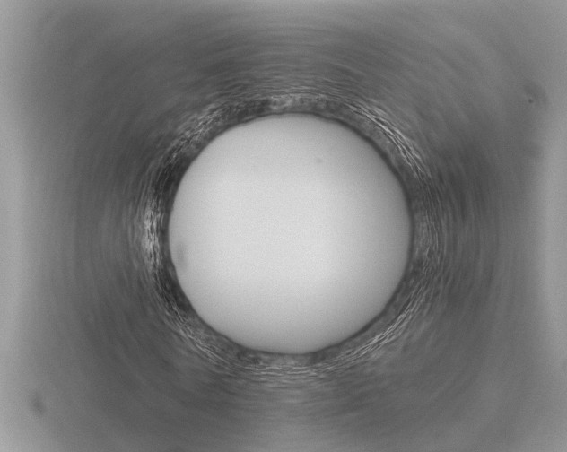 X0000116640770200912140944