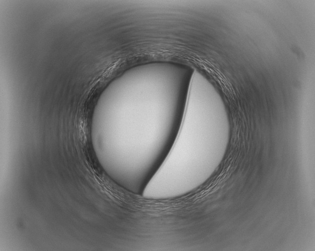 X0000116640772200912140944