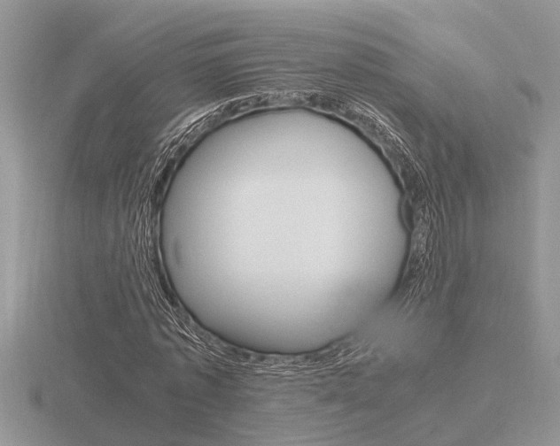 X0000116640773200912140944