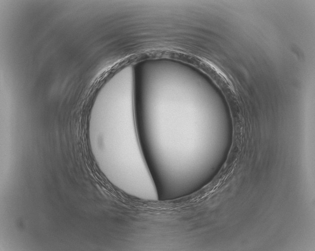 X0000116640775200912140944