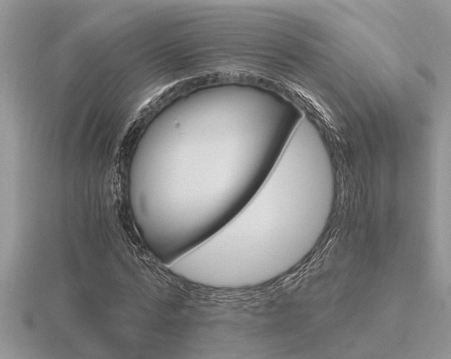 X0000116640776200912140944