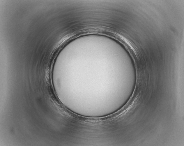 X0000116640778200912140944
