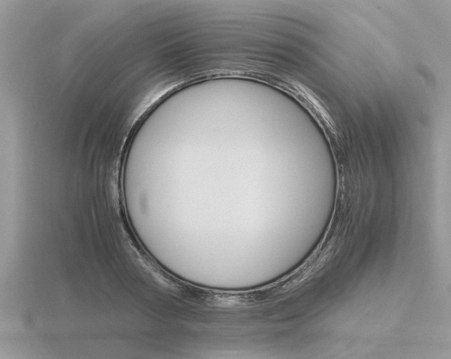 X0000116640794200912140944
