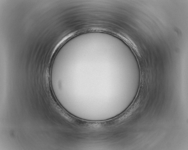 X0000116640798200912140944