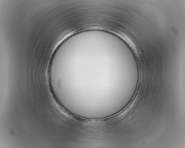 X0000116640806200912140944