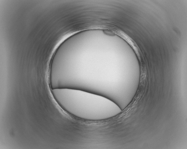 X0000116640811200912140944