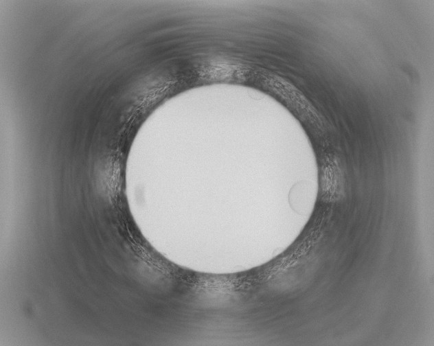 X0000116640820200912140943