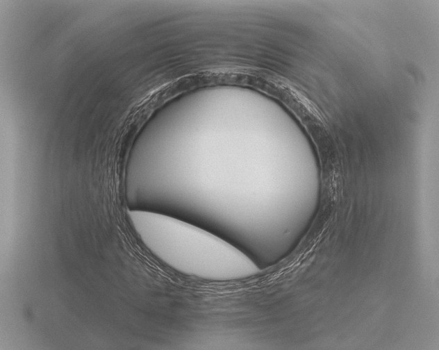 X0000116640821200912140943