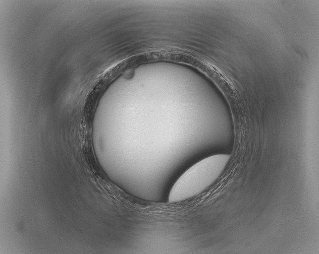 X0000116640822200912140943