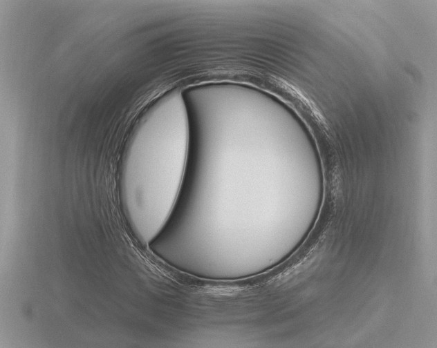 X0000116640825200912140943