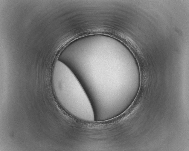 X0000116640833200912140943