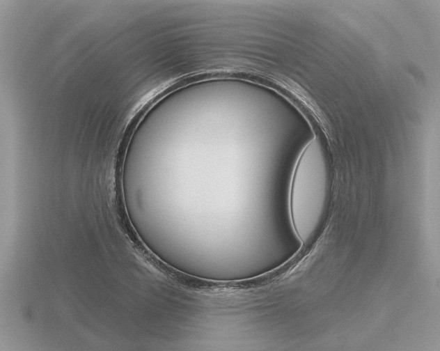 X0000116640834200912140943