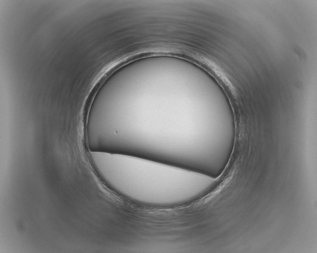 X0000116640837200912140943