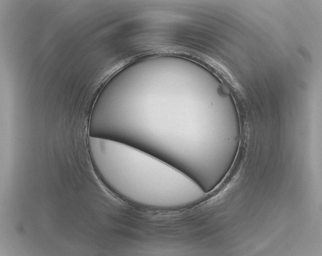 X0000116640841200912140943