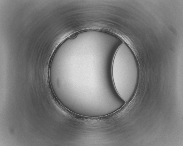 X0000116640850200912140943