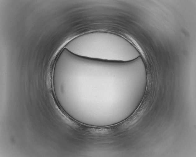 X0000116640851200912140943