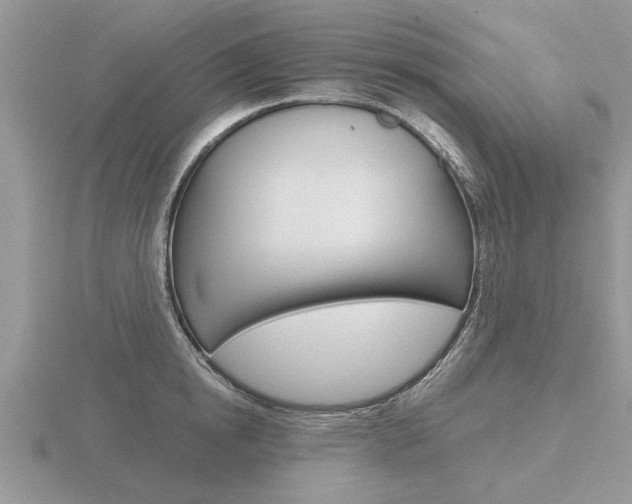 X0000116640854200912140943