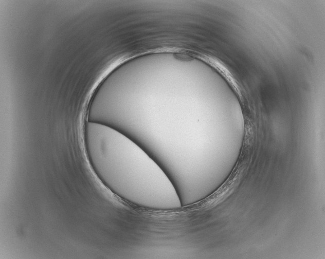 X0000116640859200912140943