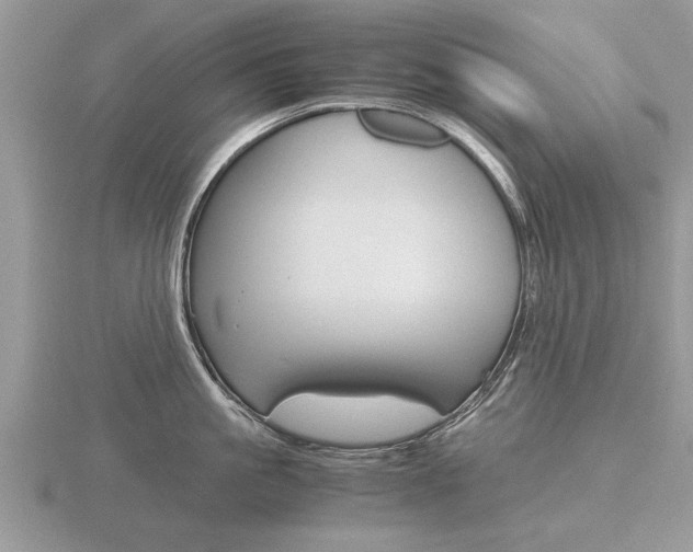 X0000116640861200912140944