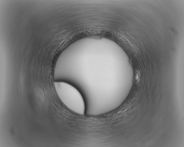 X0000116640867200912140943