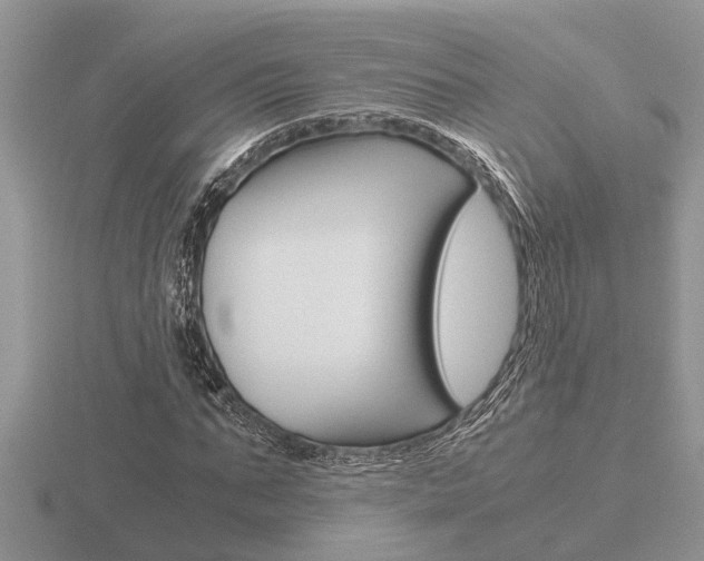 X0000116640871200912140943