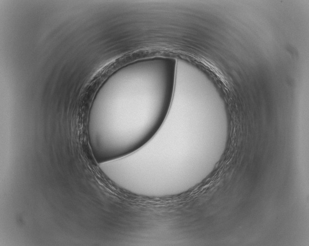 X0000116640872200912140943