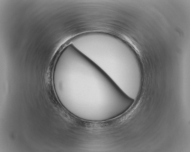 X0000116640875200912140943