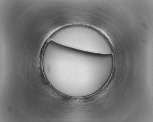 X0000116640879200912140943