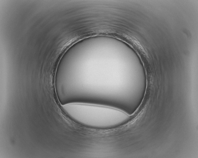 X0000116640881200912140943