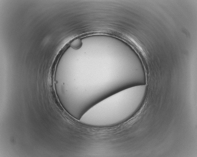 X0000116640883200912140943