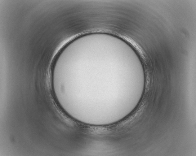 X0000116640886200912140943