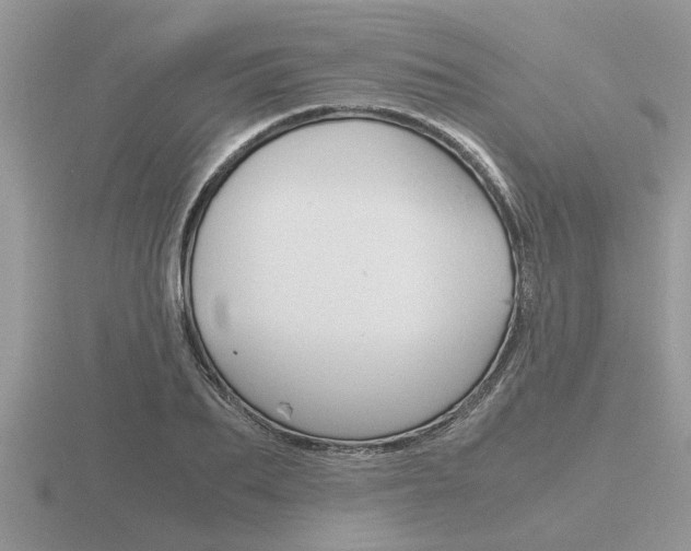 X0000116640887200912140943