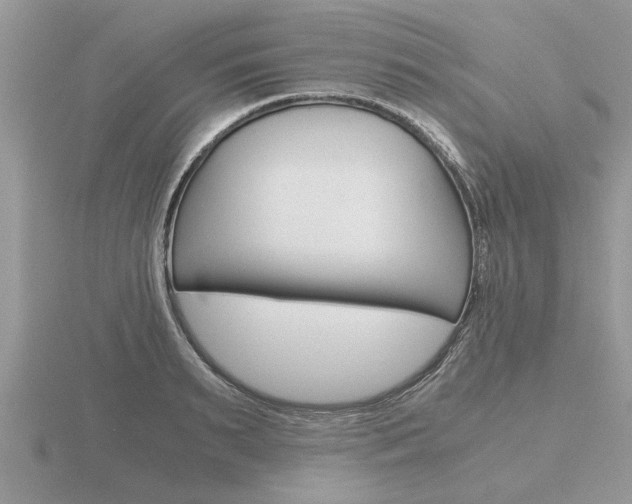 X0000116640895200912140943