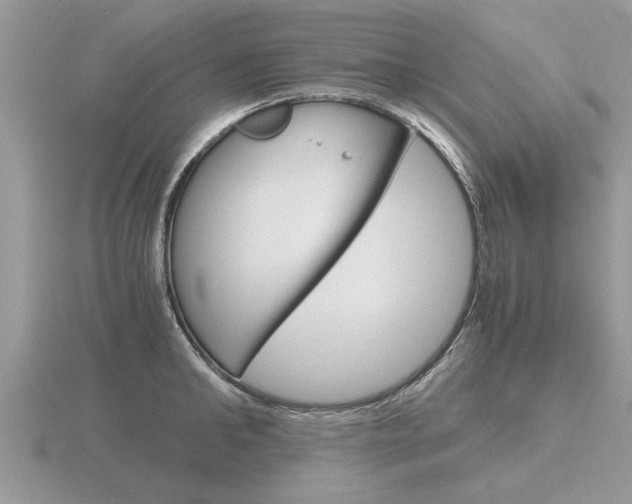 X0000116640902200912140942