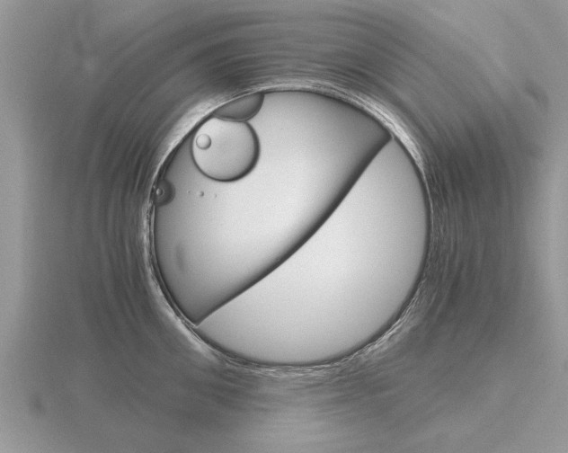 X0000116640906200912140942