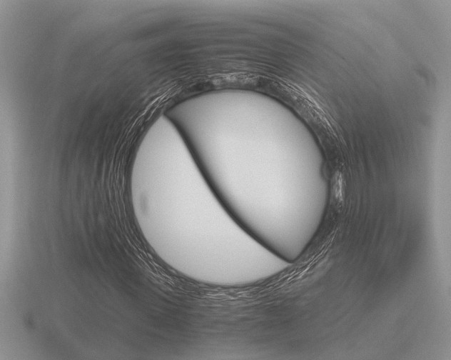 X0000116640915200912140942